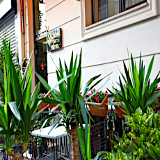Almina Inn Hotel 